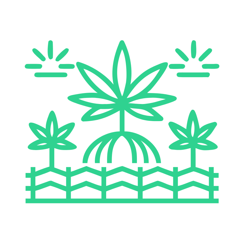 No Boundaries Hemp Farm logo with mountain design